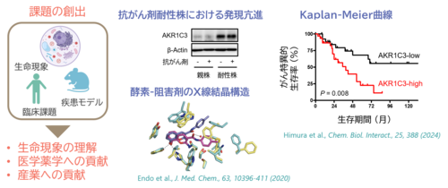 遠藤先生　研究紹介図.png